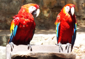 So, how's your day been?